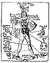 Tierkreismann - gross :(9372 Byte)